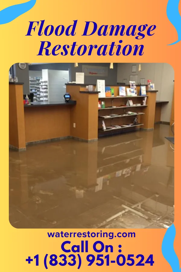 Flood Damage Restoration in Trenton, KY