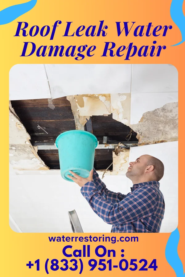 Roof Leak Water Damage Repair in Trenton, KY