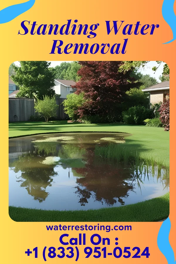 Standing Water Removal in Trenton, KY
